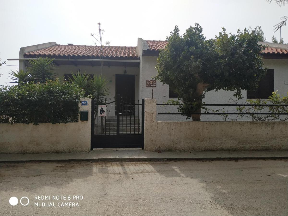 House By The Sea Artemida (Attica) Exterior foto