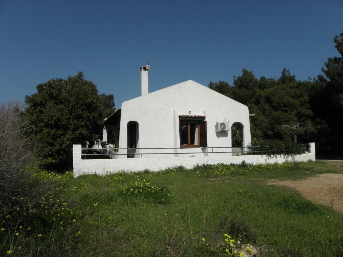 House By The Sea Artemida (Attica) Exterior foto